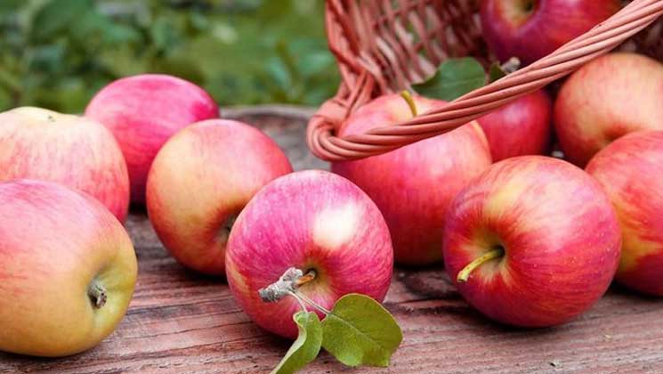 The Apple: A Nutrient-Rich Jewel of Nature