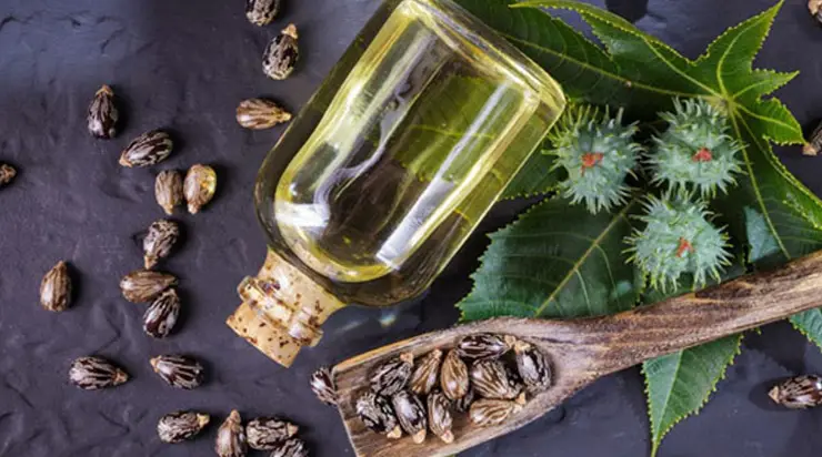 Castor oil as a beauty remedy