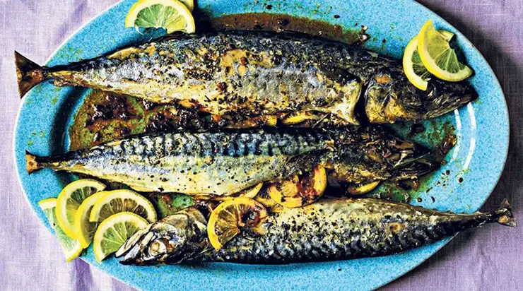 5 types of fish that boost your well-being