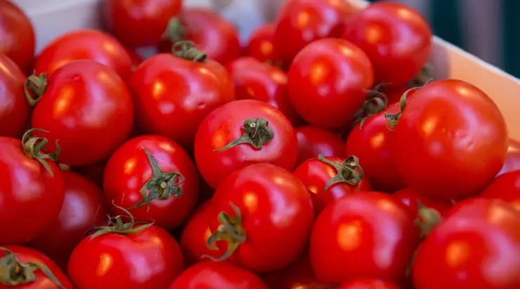 Useful properties of tomatoes