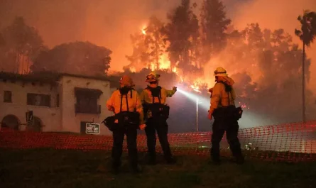 Los Angeles fires